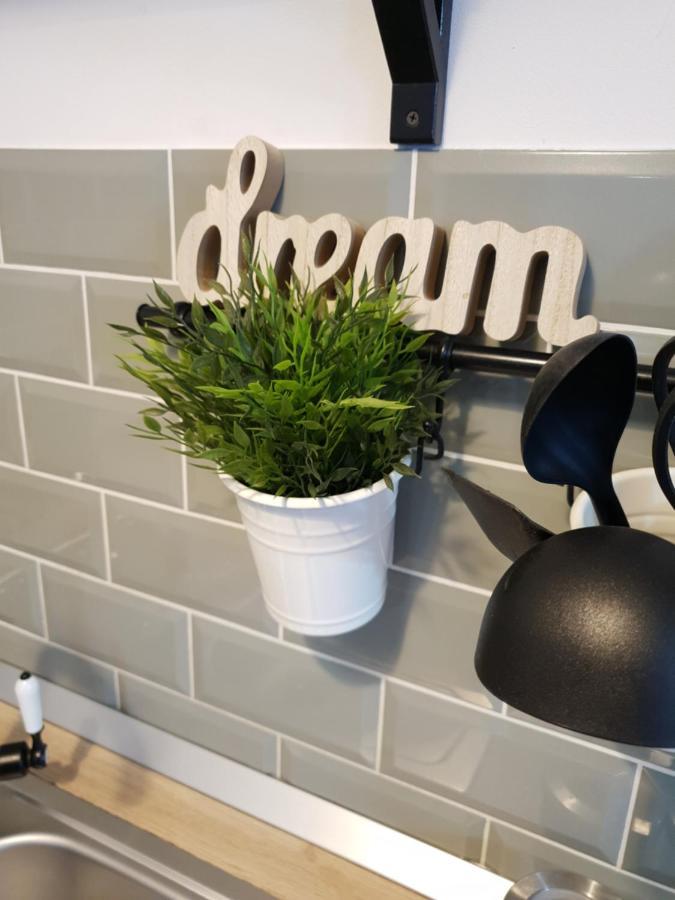 Dream Apartment Petroşani 외부 사진